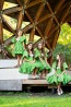 Детска рокля "GREEN CHARM" 6
