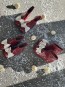 Детски боти "COQUETTE" in burgundy  3