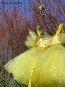 Girl Dress "BALLERINA" yellow edition 10