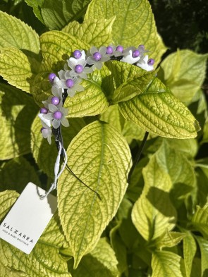 Диадема- корона "LILAC" 1