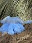 Луксозна детска рокля "БЕЛЛИСИМА" /baby blue/ 5