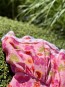 Детска рокля „PINKY“ 11